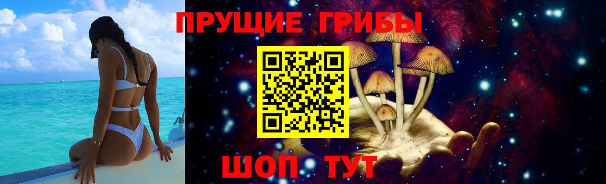 Томск  Галлюциногенные грибы прущие грибы  Вход с VPN 